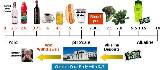 Dieta alkalne kisline