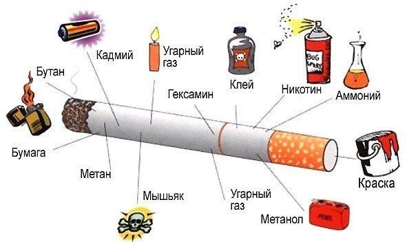 sestava cigaret